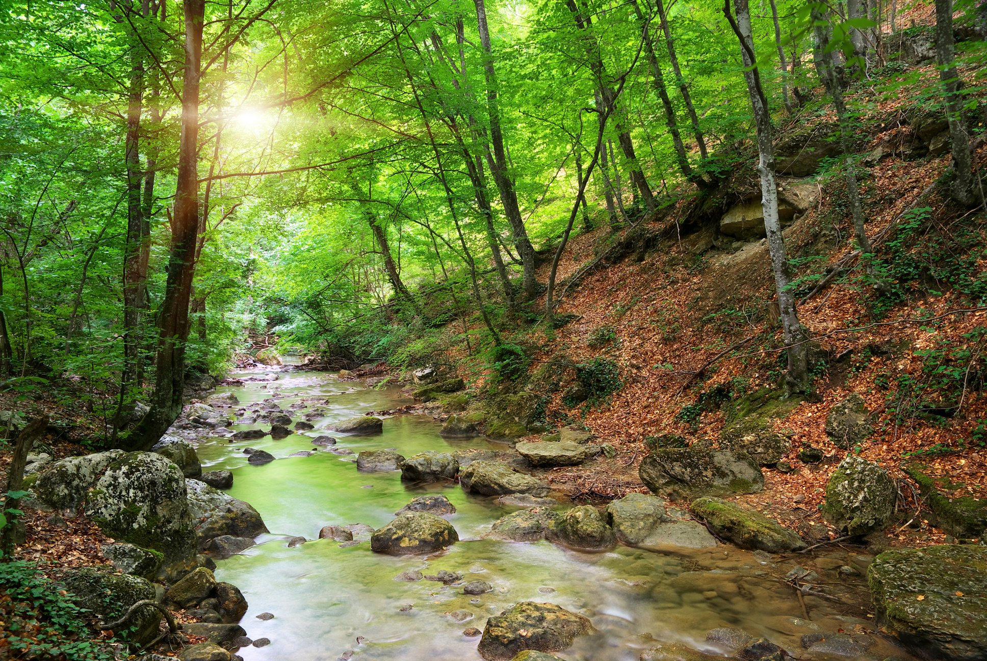 River in mountain